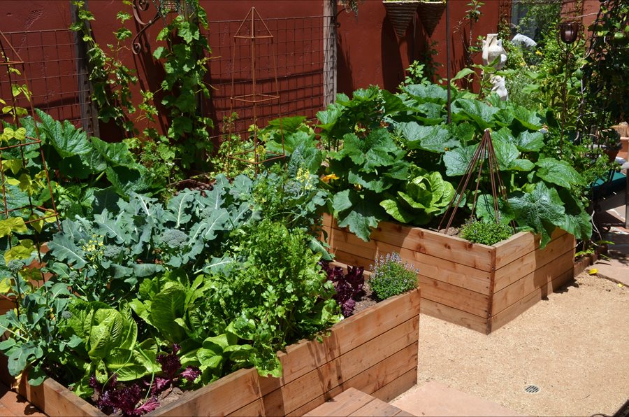 Vegetable Garden Ideas - Landscaping with Vegetables - Landscaping .