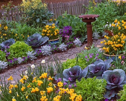 Edible Landscaping | Gardener's Supp