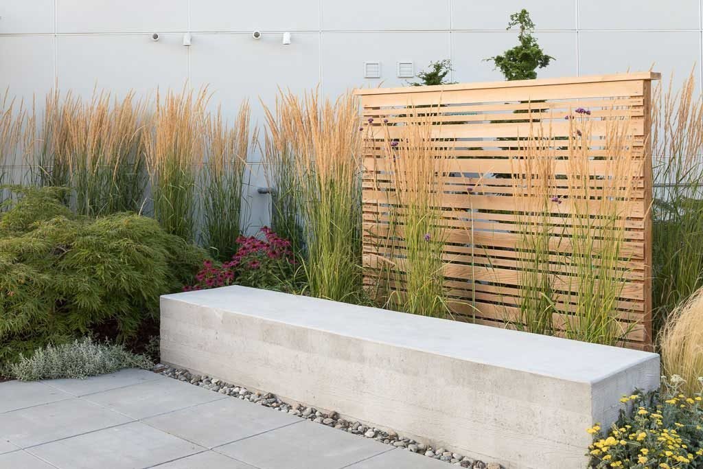 Ornamental Grass Care - Pacifica Landscap