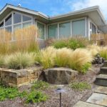 Ornamental Grasses: Care Tips & Favorite Varieties - Dennis' 7 .