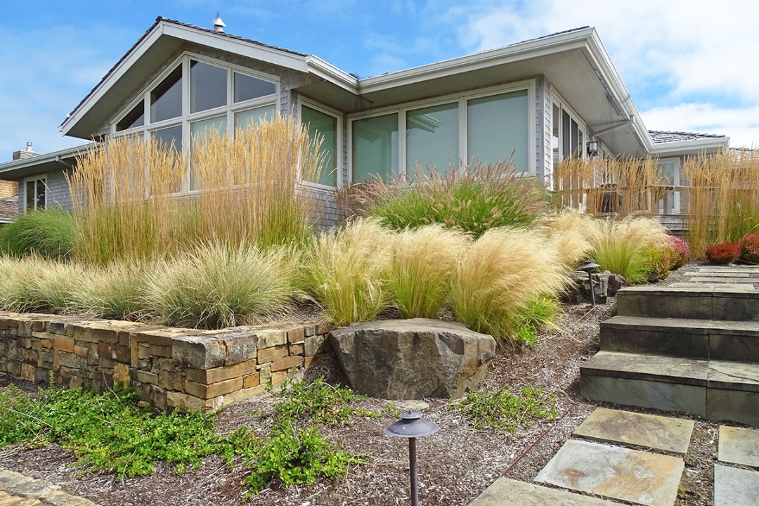 Ornamental Grasses: Care Tips & Favorite Varieties - Dennis' 7 .