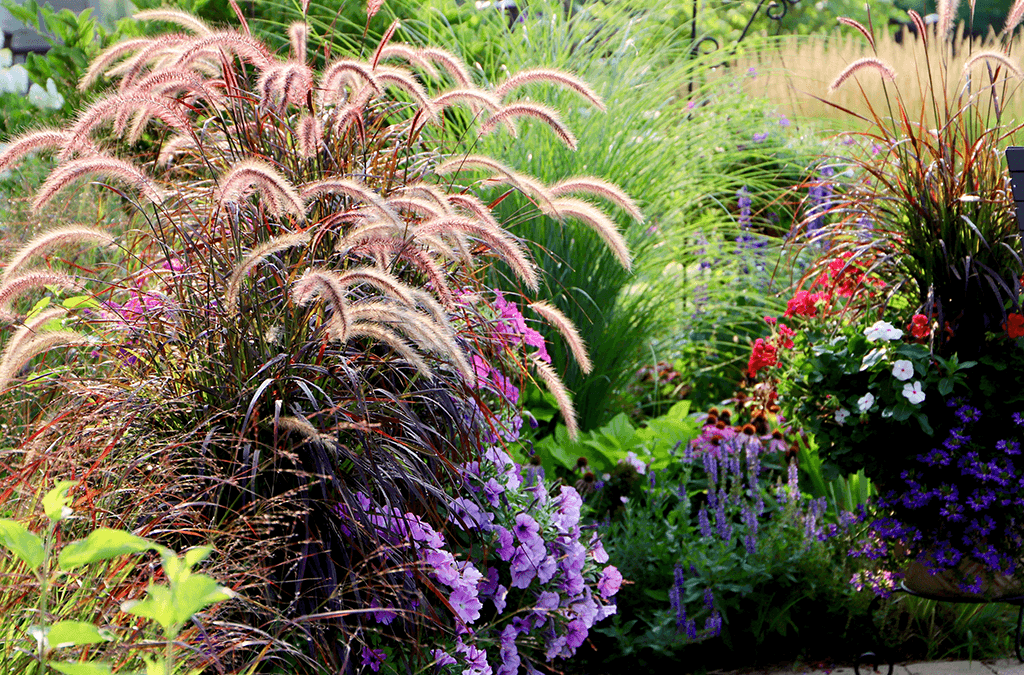 Ornamental Grasses for Your Landscape | Platt Hill Nursery | Blog .