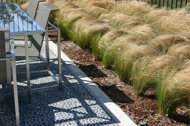 Ornamental Grasses in the Landsca