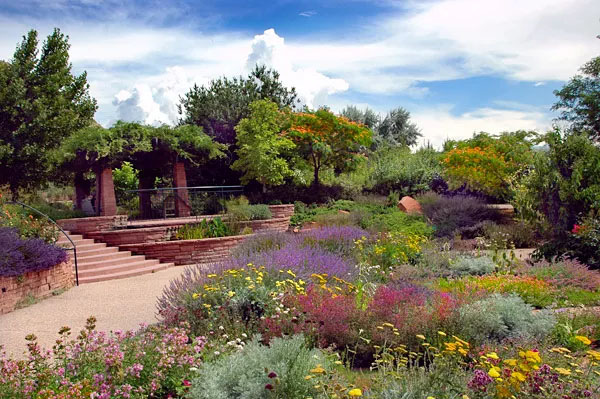 Xeriscape with Native Plants | Sustainabili