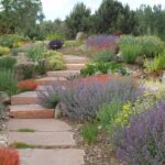 Xeriscaping Ideas - Landscaping Netwo