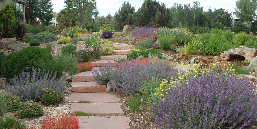 Xeriscaping Ideas - Landscaping Netwo