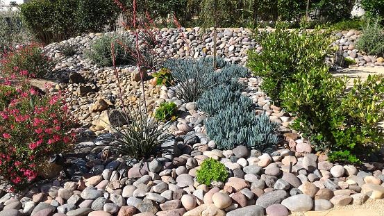 Xeriscape Resources | Erie,