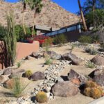 Xeriscape Landscaping Services in Fort Collins,