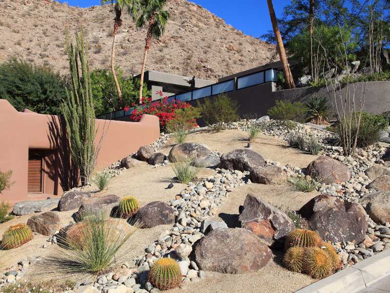 Xeriscape Landscaping Services in Fort Collins,