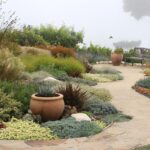 Xeriscape Design That's Lush, Colorful, and Vibra