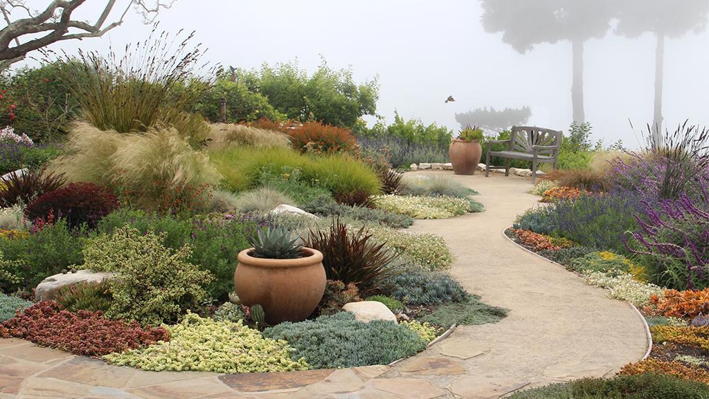 Xeriscape Design That's Lush, Colorful, and Vibra