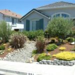 Most new home building in California opting for Xeriscape .