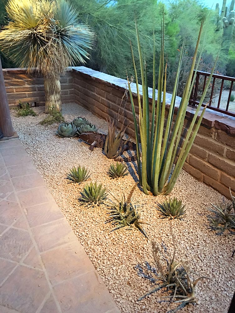 Xeriscape Phoenix | Landscapers - Arte Verde Landscapi