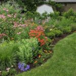 Shrink Your Lawn: A Guide to Growing More Native Plants - West Cre