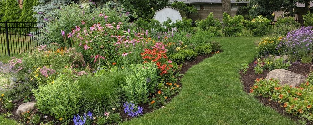 Shrink Your Lawn: A Guide to Growing More Native Plants - West Cre