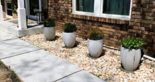 Low Maintenance Front Yard Landscaping Idea | Hometa