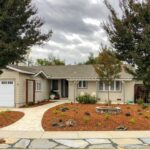 Transforming an Old Lawn to a Beautiful, Low Maintenance Planting .