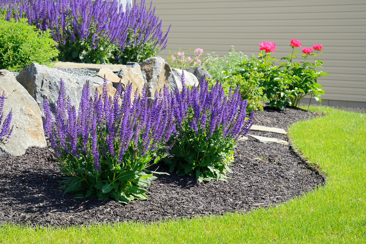 5 Low-Maintenance Landscaping Ideas – Caliter