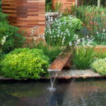 Modern Garden - Inspiring Garden Ideas for all Gardene