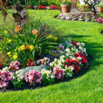 Garden Ideas & Projects - The Home Dep