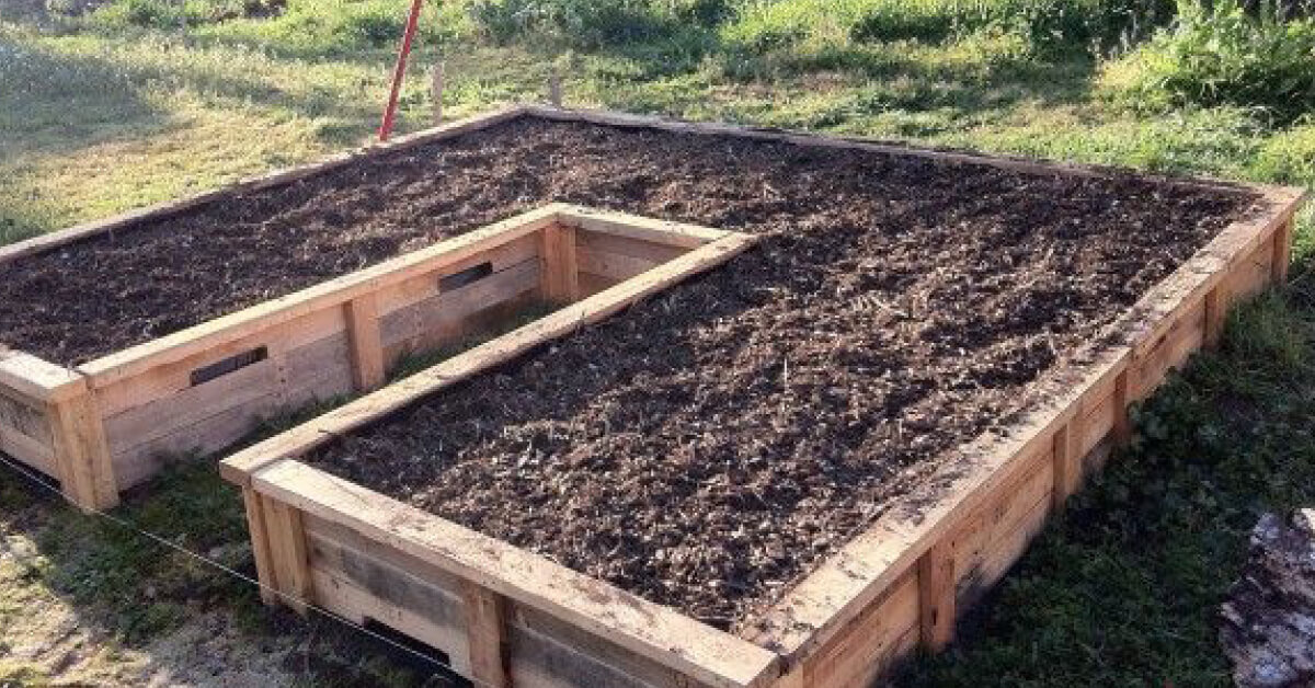 DIY pallet garden bed - Sustainability Trust Wellingt