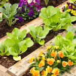 DIY Pallet Raised Garden Bed | Garden Ga