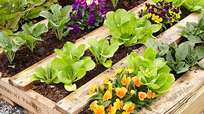 DIY Pallet Raised Garden Bed | Garden Ga