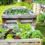 Pallet Raised Garden Bed - Build it Yourself! - MyGardenLi