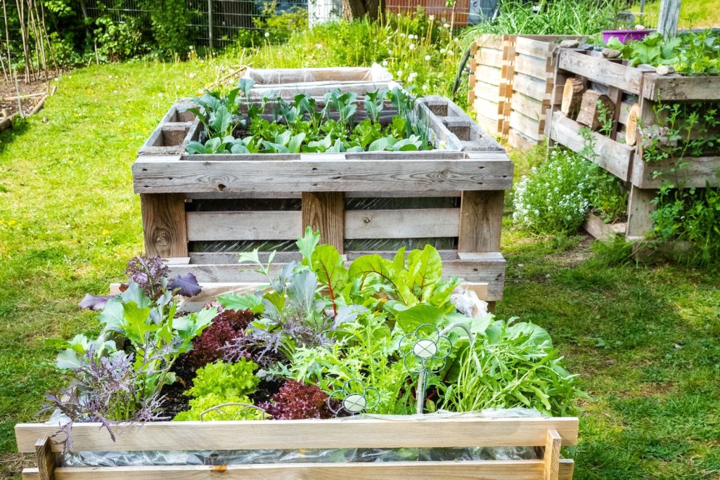 Pallet Raised Garden Bed - Build it Yourself! - MyGardenLi