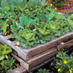 DIY Pallet Raised Garden Bed | Garden Ga