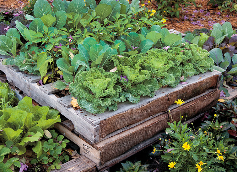 DIY Pallet Raised Garden Bed | Garden Ga