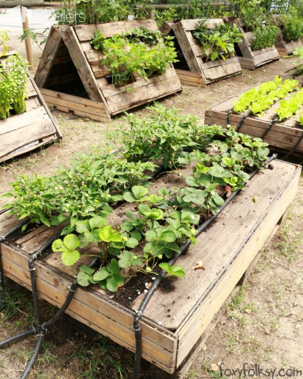 Innovative Pallet Garden with Automatic Watering Syst