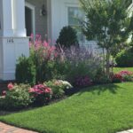 perrenial gardens layout front yards perrenial flowers perrenial .