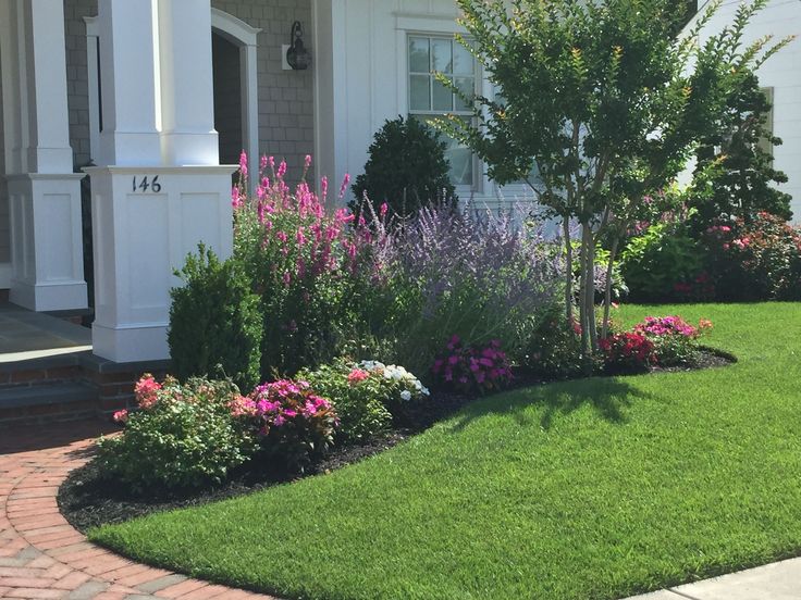 perrenial gardens layout front yards perrenial flowers perrenial .