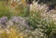 Landscape Design with Ornamental Grasses: Top 5 wa