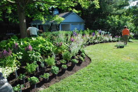 perennial garden design | Deborah Silver & C