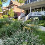 Sidewalk Garden: A Perennial Parkway Planting | Garden Desi