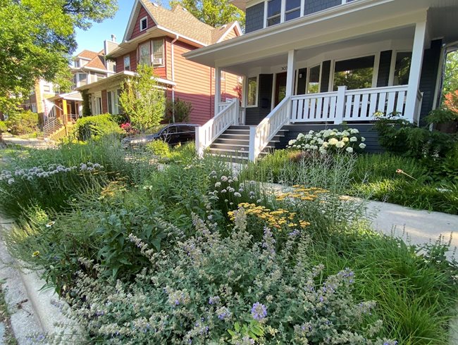 Sidewalk Garden: A Perennial Parkway Planting | Garden Desi