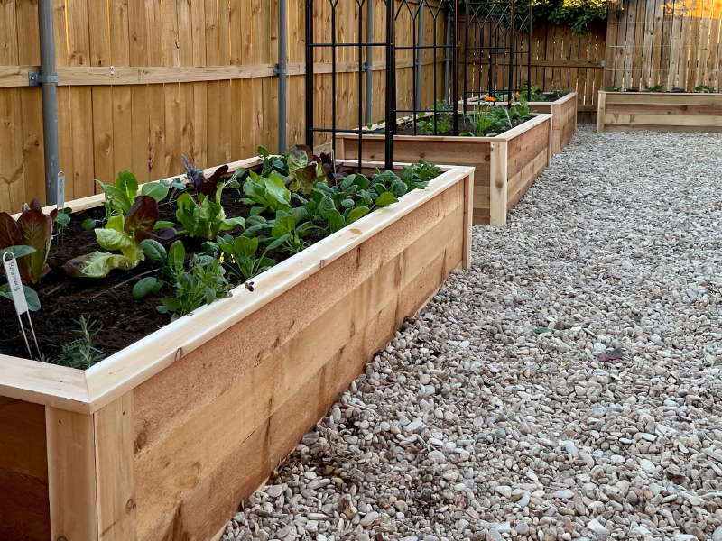 4 Major Benefits of Raised-Bed Gardening - Lettuce Grow Somethi