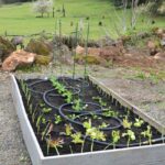 How to Build & Plant a Low Maintenance Raised Garden Bed - An .