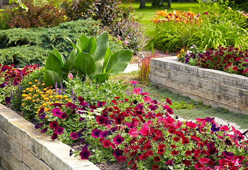 Everything You Want to Know About Raised Garden Beds | Garden Ga