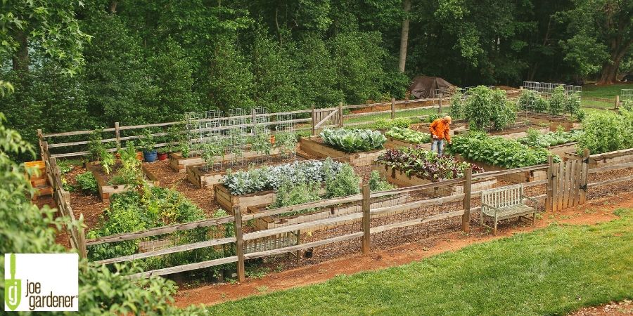 Selecting the Right Material for Your Raised Bed Garden | Milorgani