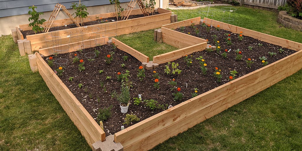 These Bricks Make Building Raised Garden Beds Simple | Wirecutt