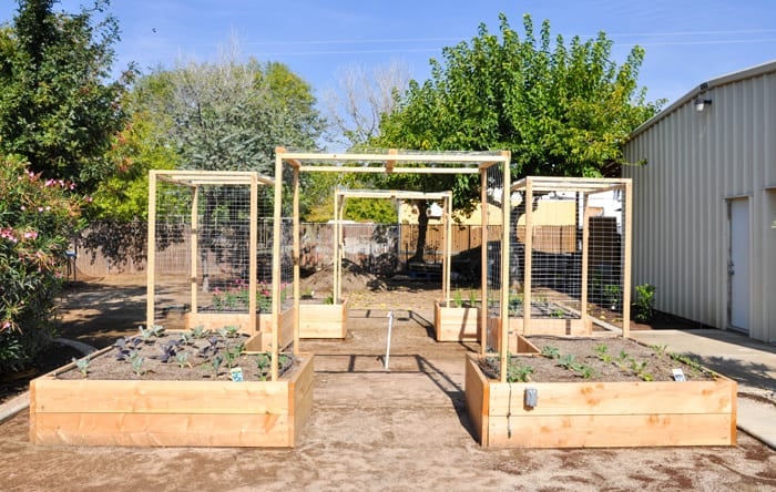 Raised Bed Gardening - California Gro