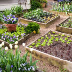 The Benefits of Building a Raised Bed Garden | Bonnie Plan