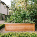 Where to Put Your Raised Beds — How to Choose the Ideal Location .