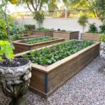 10 Raised Bed Garden Ideas | The Family Handym