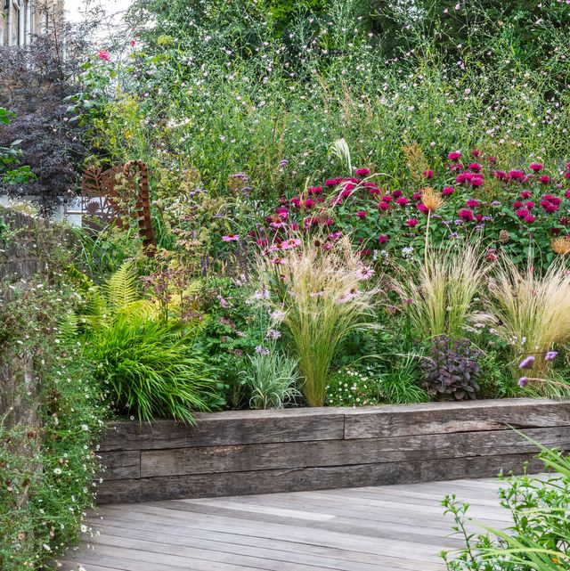 20 Best Raised Garden Bed Ideas to Elevate Your Backya