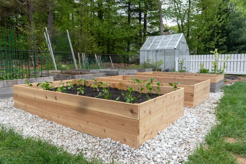 How to Build a Beautiful Raised Garden Bed in 5 Easy Ste