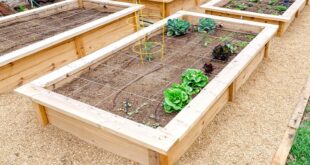 Dammann's Garden Company – DIY Series: Raised Garden Be